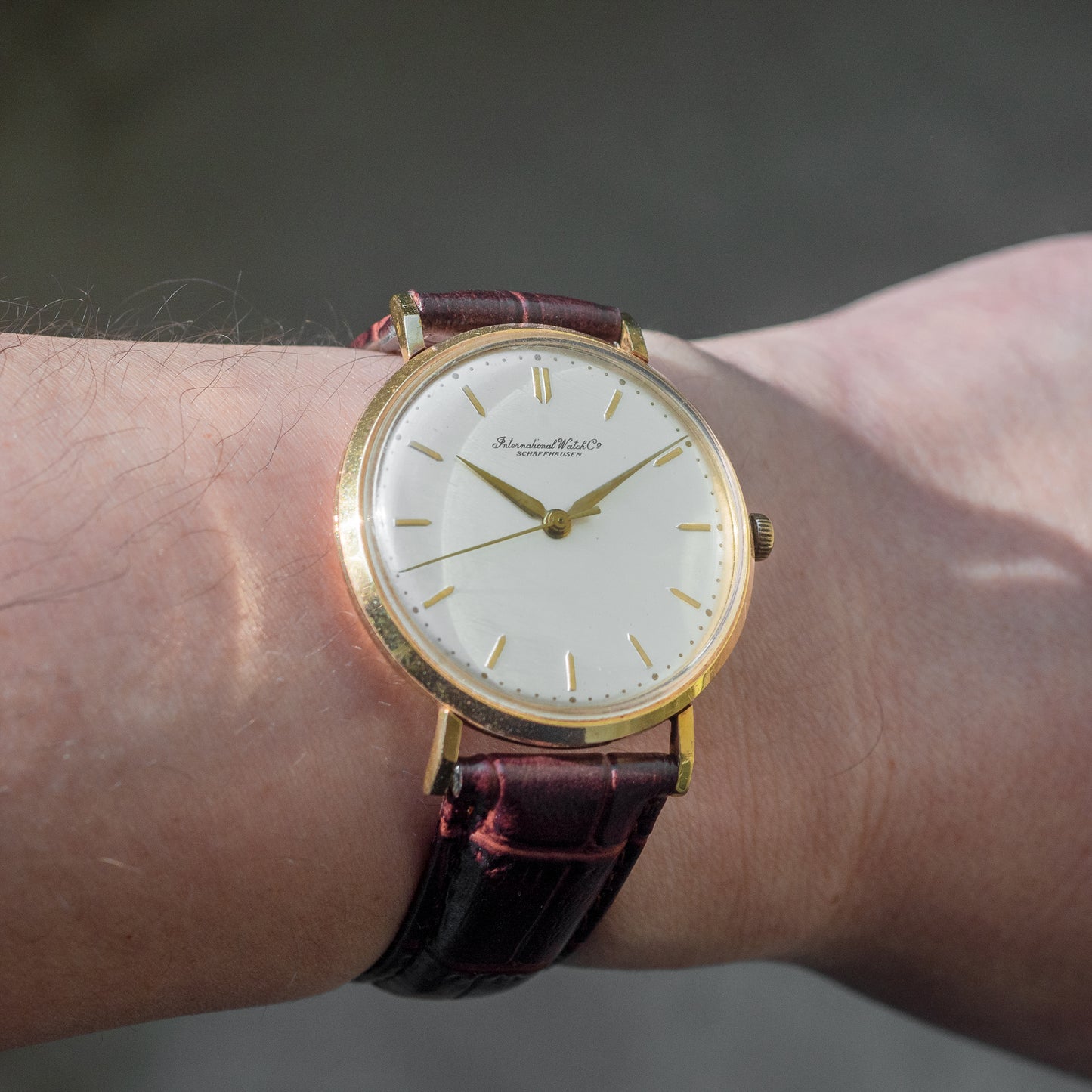 No. 313 / IWC 18k Solid Gold Manual - 1956